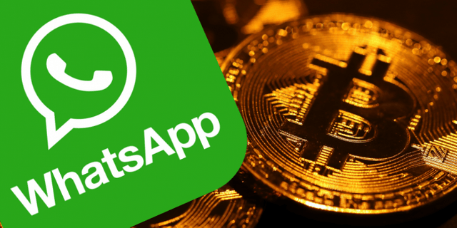 btc group whatsapp