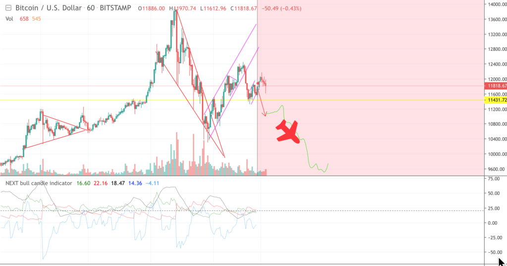 Bear Flag bitcoin